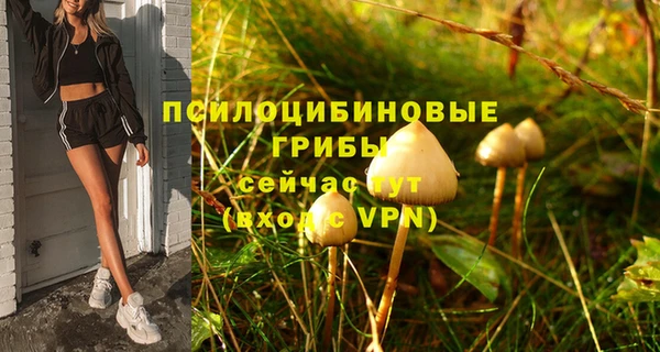 эйфоретик Беломорск