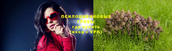 не бодяженный Белокуриха