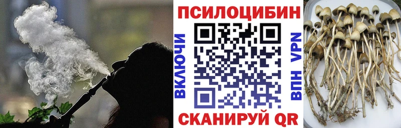 гидра ССЫЛКА  Гатчина  Псилоцибиновые грибы Psilocybine cubensis 