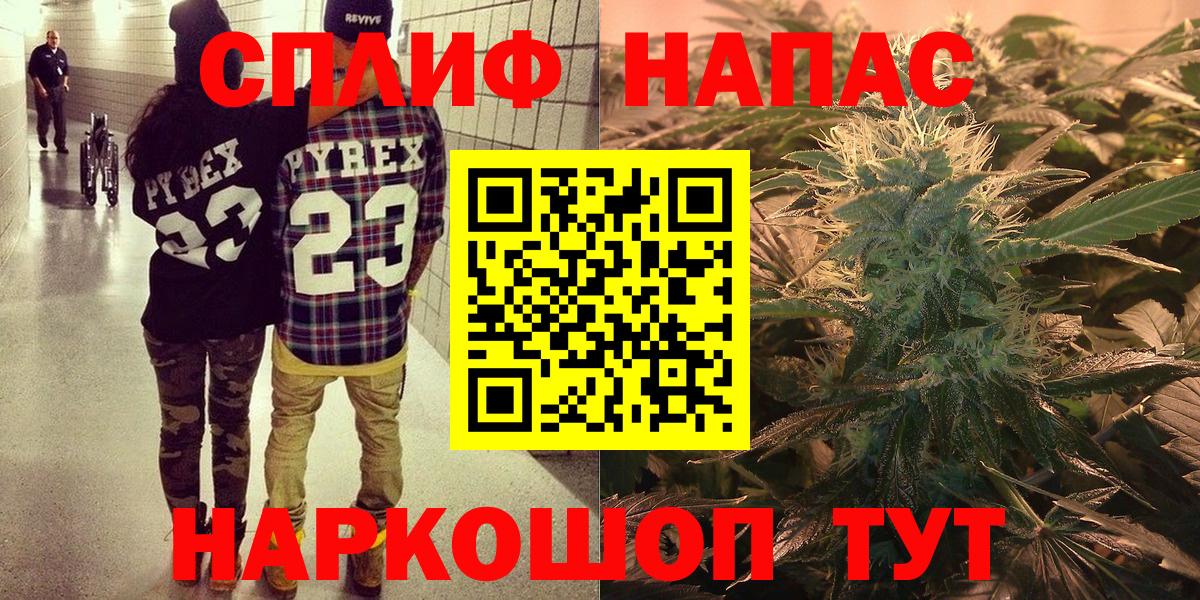 Конопля сатива Гатчина